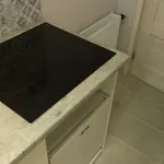 Budanest Apartament